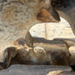 Excavator pe senile - CAT 313 F