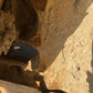 Excavator pe senile - CAT 313 F
