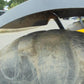Incarcator telescopic - JCB 531-70