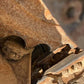 Excavator pe senile - Komatsu PC 118 MR-8