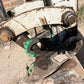 Miniexcavator - Takeuchi TB 23 R